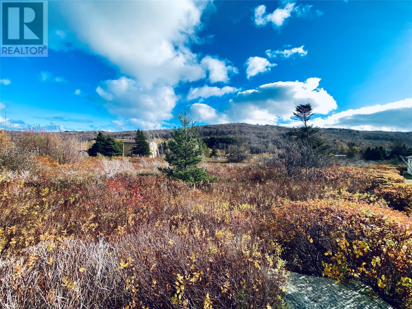 86 Riverdale Crescent, Salmon Cove, NL