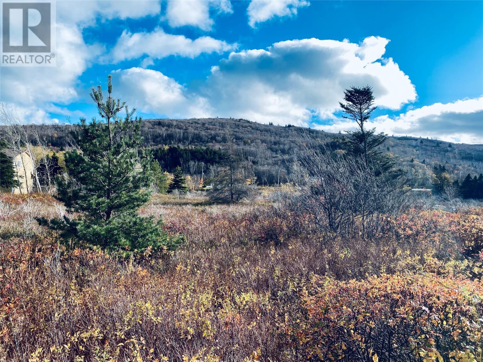 86 Riverdale Crescent, Salmon Cove, NL