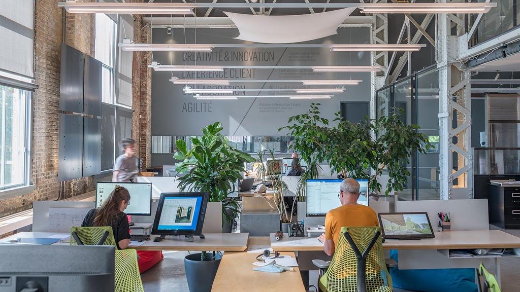 Overall view - 220-2600 Rue William-Tremblay, Montréal (Rosemont/La Petite-Patrie), QC -