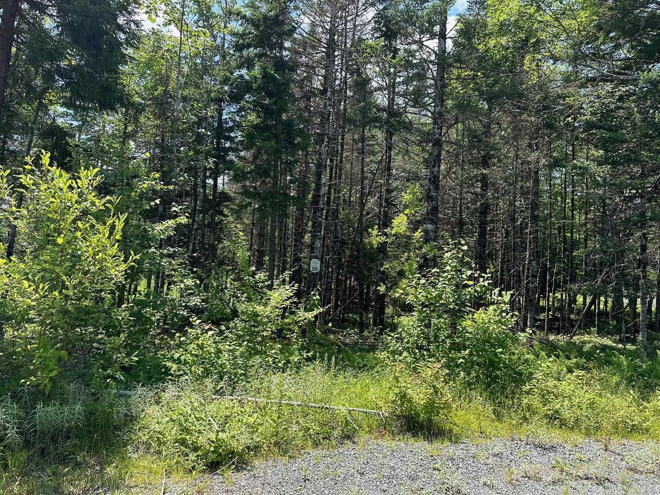 Black Cherry Lane, Ardoise, NS