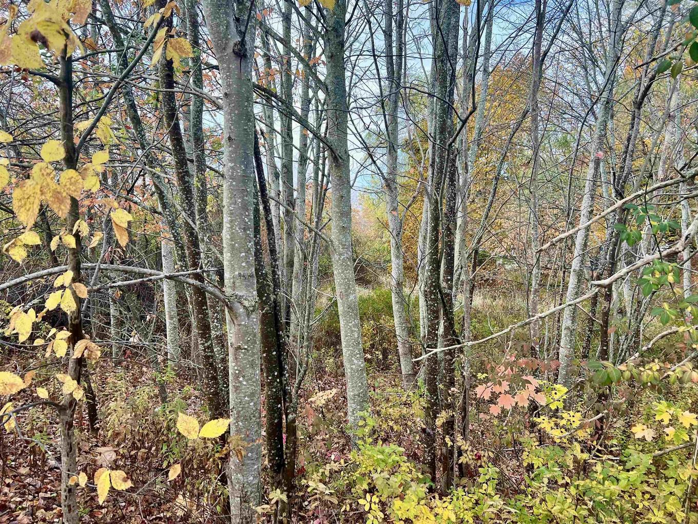 Lot A Maple Street, Waterville, NS