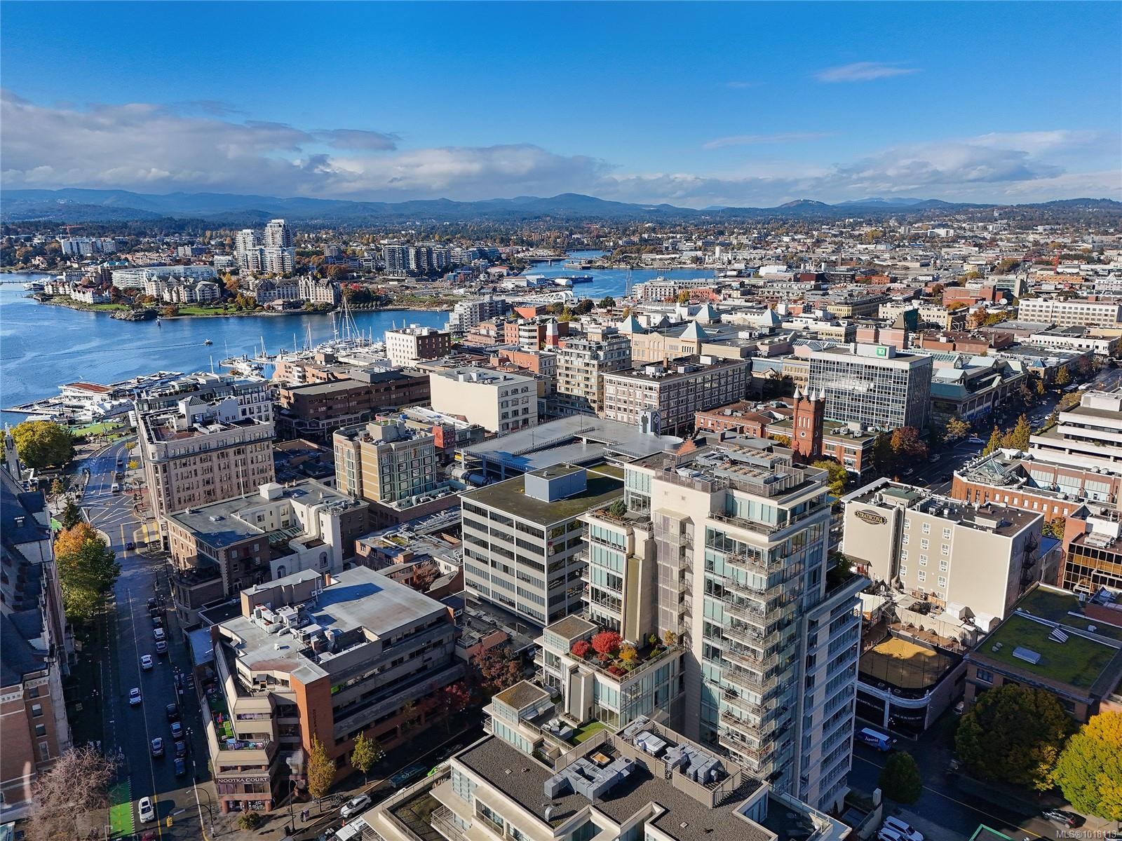 1003-707 Courtney St, Victoria, BC - Outdoor With View