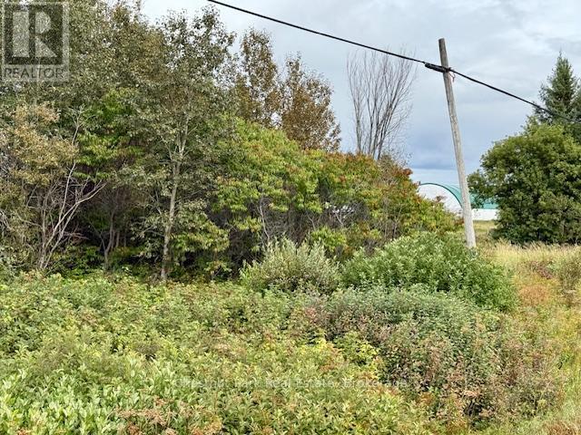 South Triangle - 0 Hwy 11 North Highway, Englehart (Central Timiskaming), ON