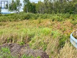Existing Entrance off Hwy 11 -
