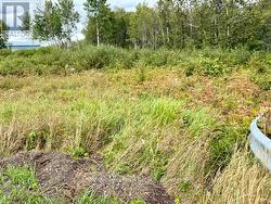 Existing Entrance off Hwy 11 -