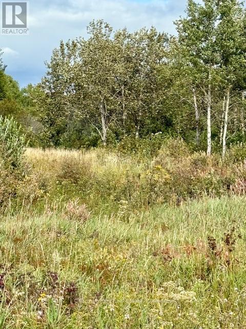 North Triangle - 0 Highway 11 North Highway, Englehart (Central Timiskaming), ON