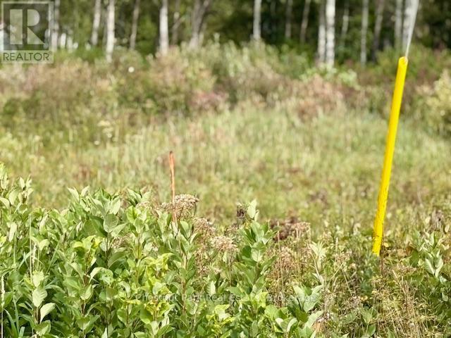 North Triangle - 0 Highway 11 North Highway, Englehart (Central Timiskaming), ON