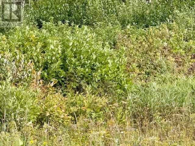 North Triangle - 0 Highway 11 North Highway, Englehart (Central Timiskaming), ON