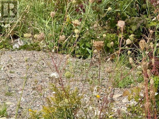 Existing Entrance off Hwy 11 N - North Triangle - 0 Highway 11 North Highway, Englehart (Central Timiskaming), ON