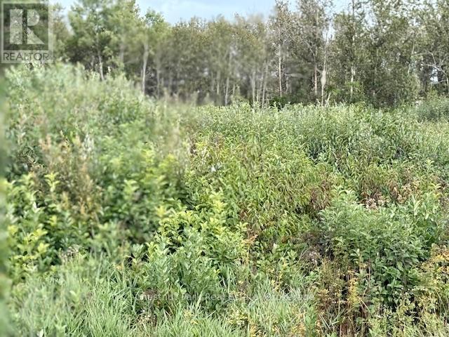 North Triangle - 0 Highway 11 North Highway, Englehart (Central Timiskaming), ON