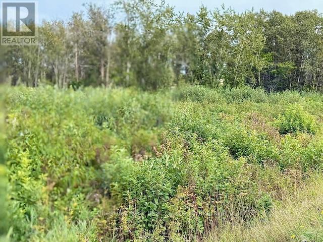 North Triangle - 0 Highway 11 North Highway, Englehart (Central Timiskaming), ON