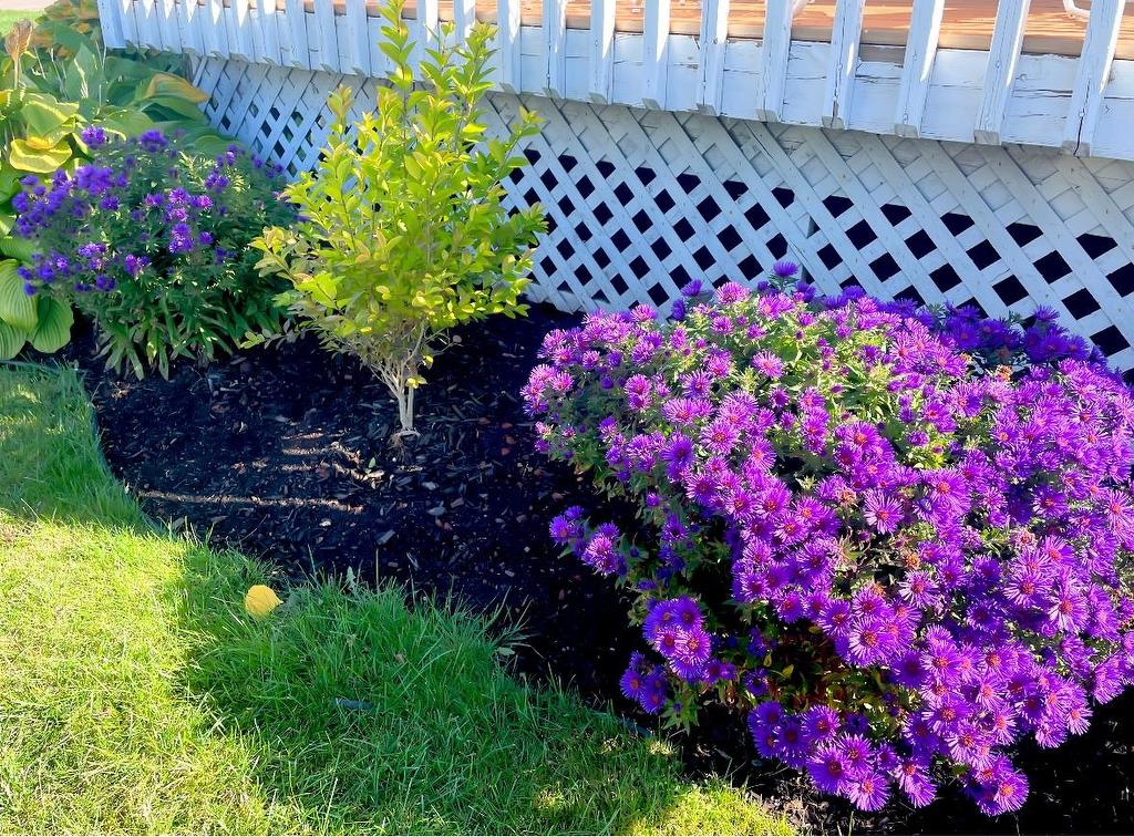 3 Krista Lane, Cornwall, PE