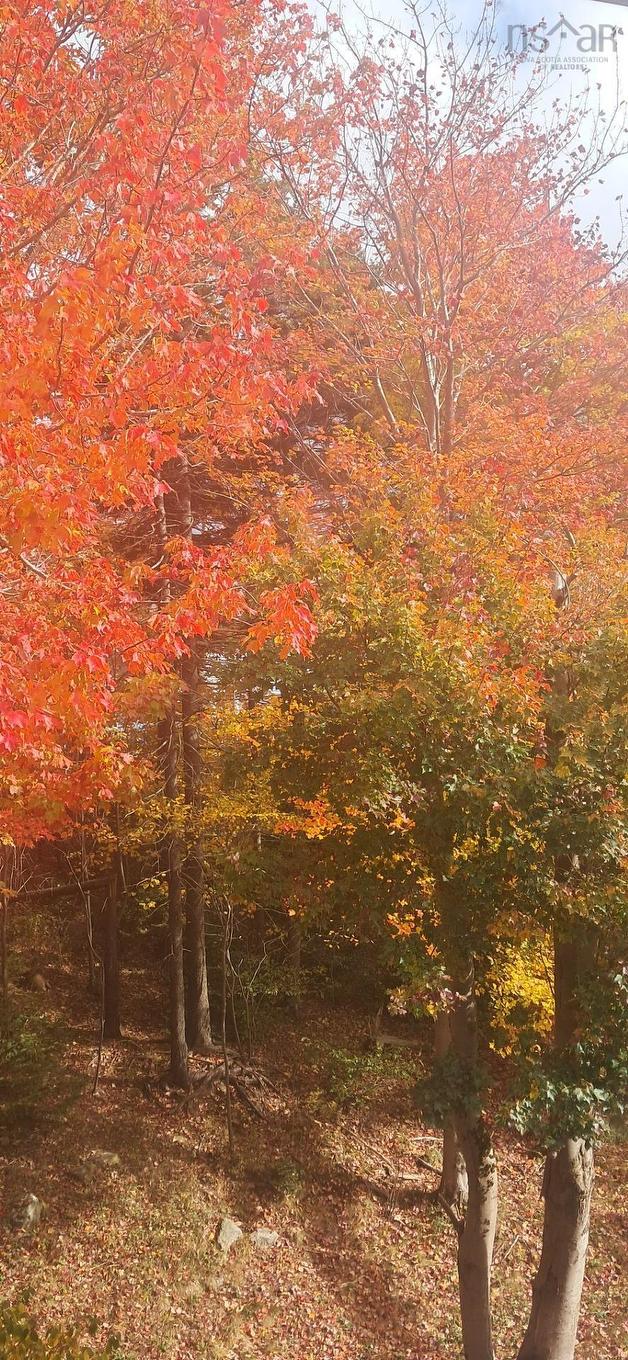 89 Lincoln Cross, Halifax, NS