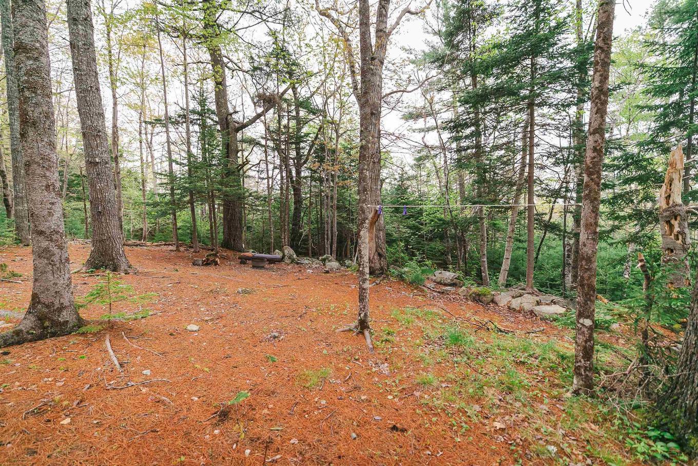 371 Lacey Mines Road, Chester Basin, NS