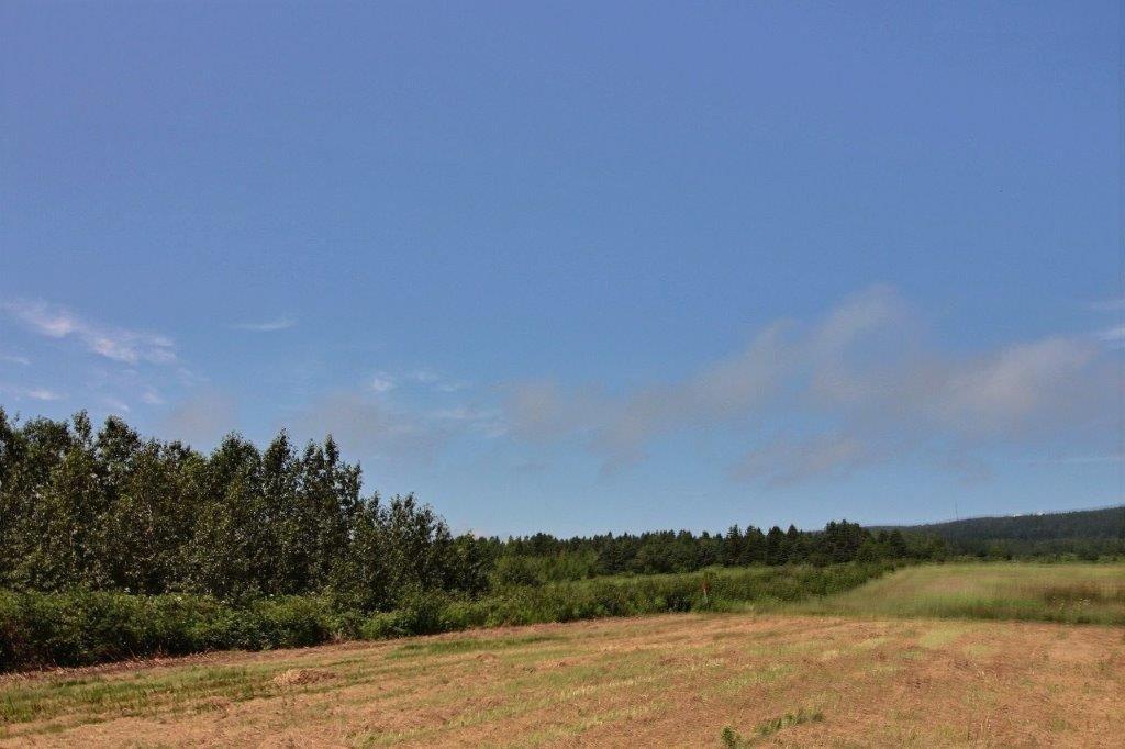 Terre/Terrain - 01 Route 132 O., Percé, QC