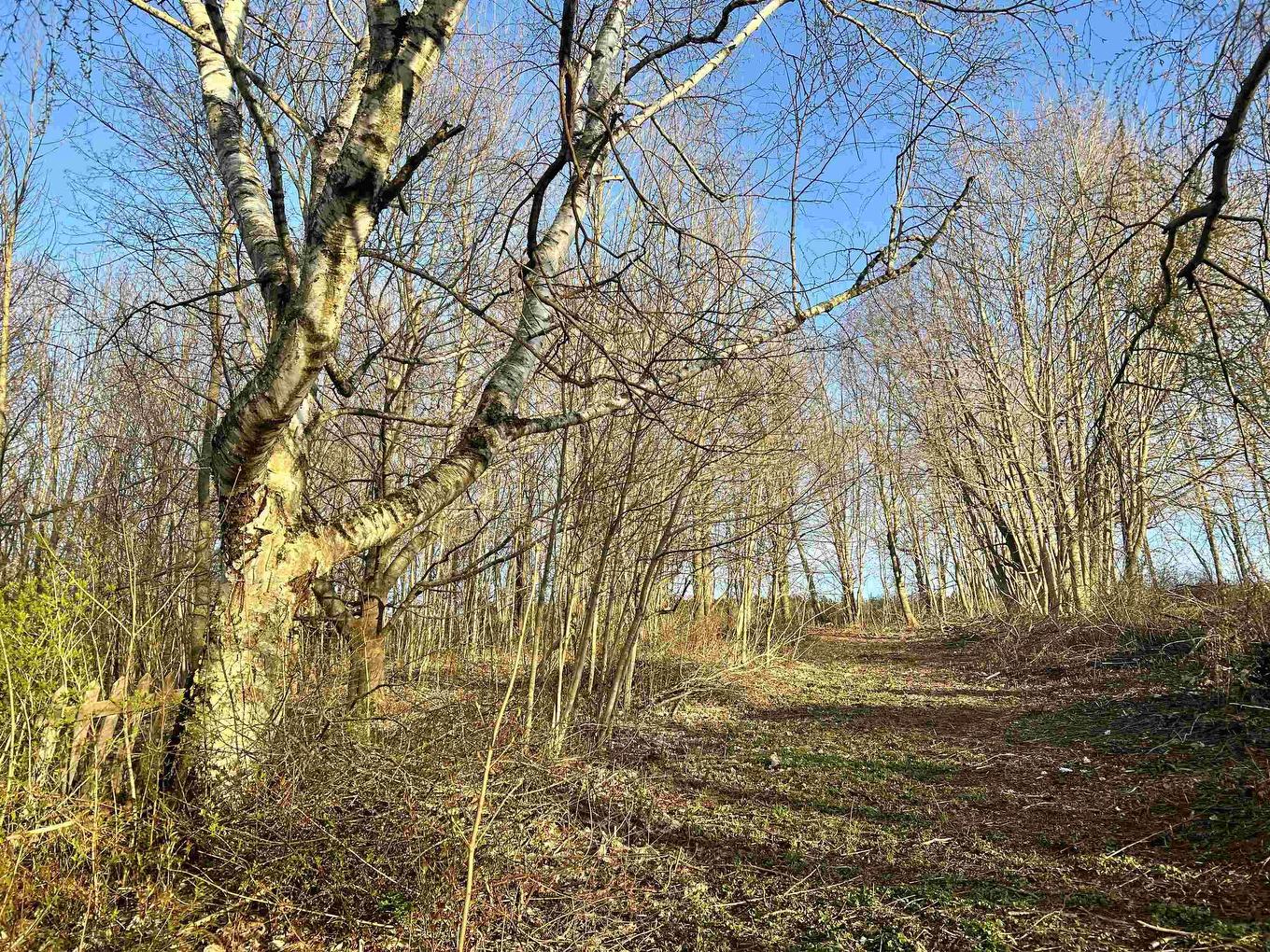 Lot 2022-2 Greenfield Road, Gaspereau, NS