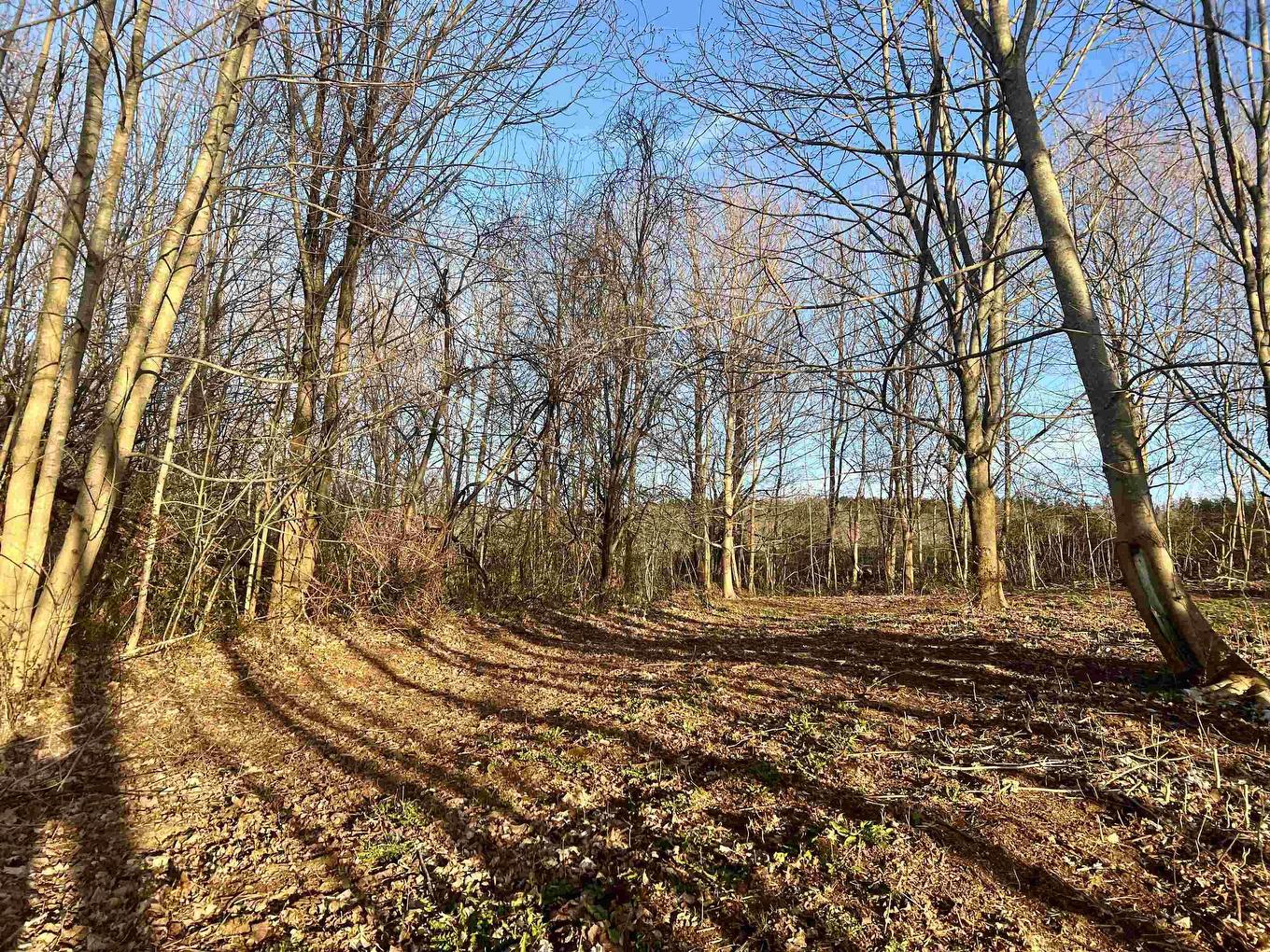 Lot 2022-2 Greenfield Road, Gaspereau, NS