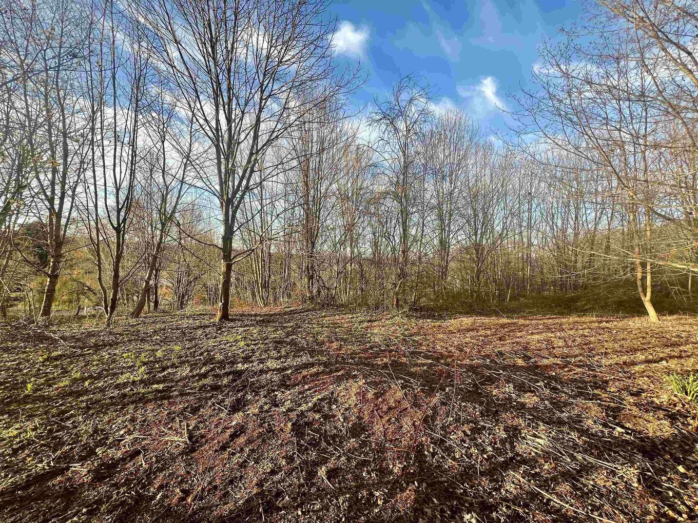 Lot 2022-2 Greenfield Road, Gaspereau, NS