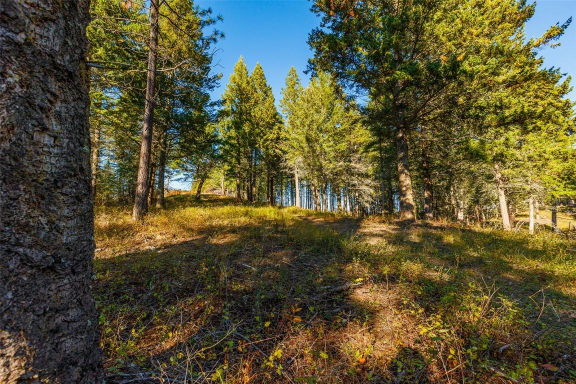 Lot 75 7Th Street, Creston, BC