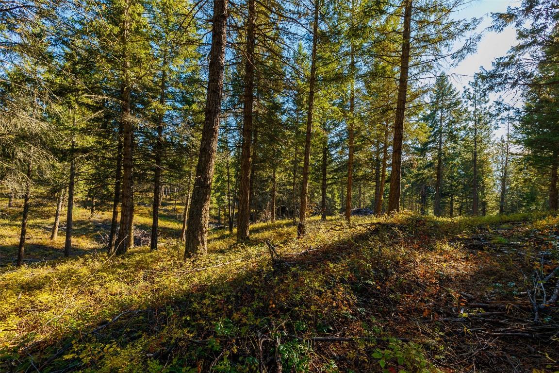 Lot 75 7Th Street, Creston, BC