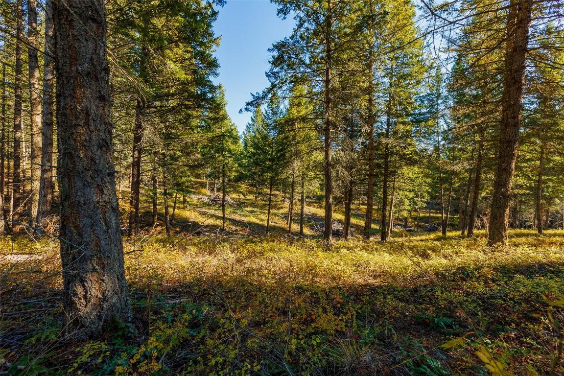 Lot 75 7Th Street, Creston, BC