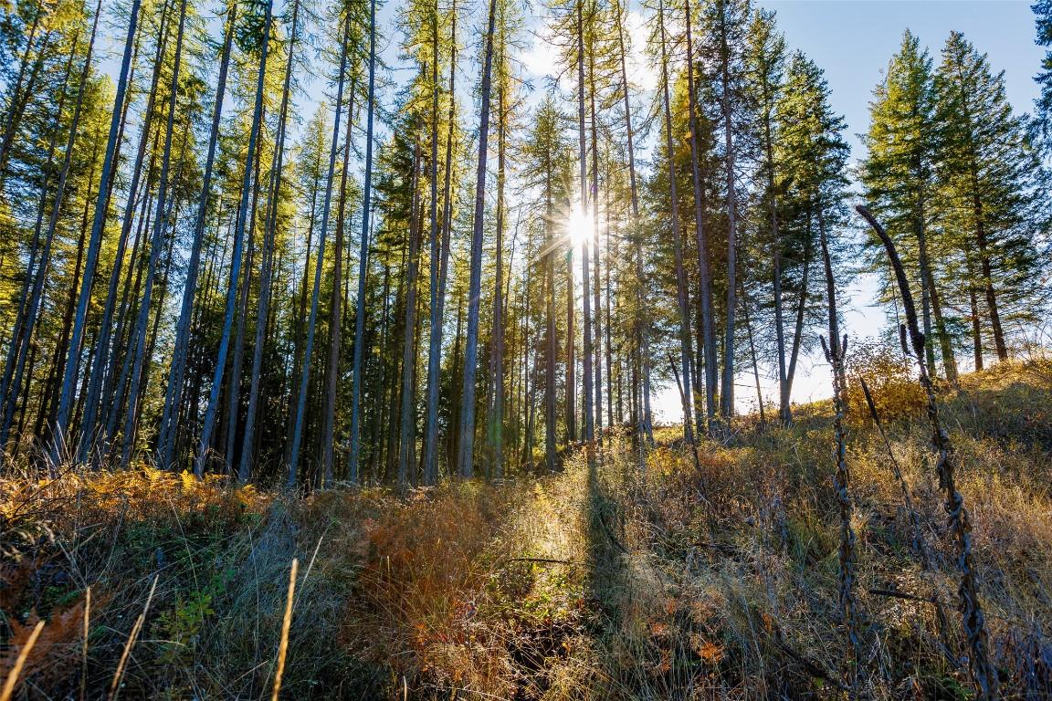 Lot 75 7Th Street, Creston, BC