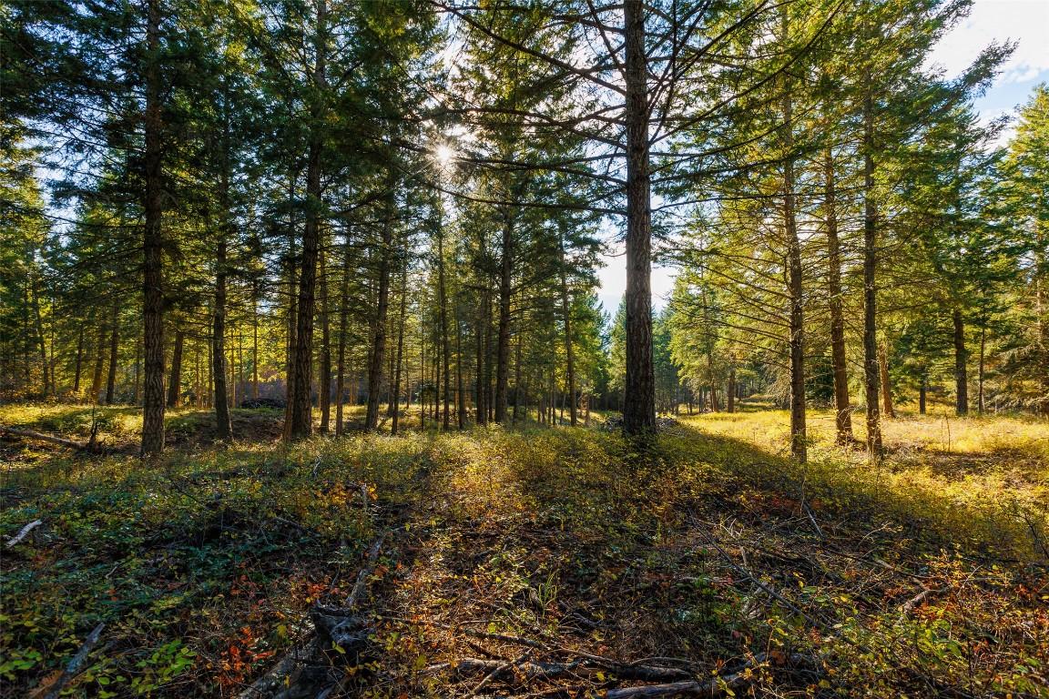 Lot 75 7Th Street, Creston, BC