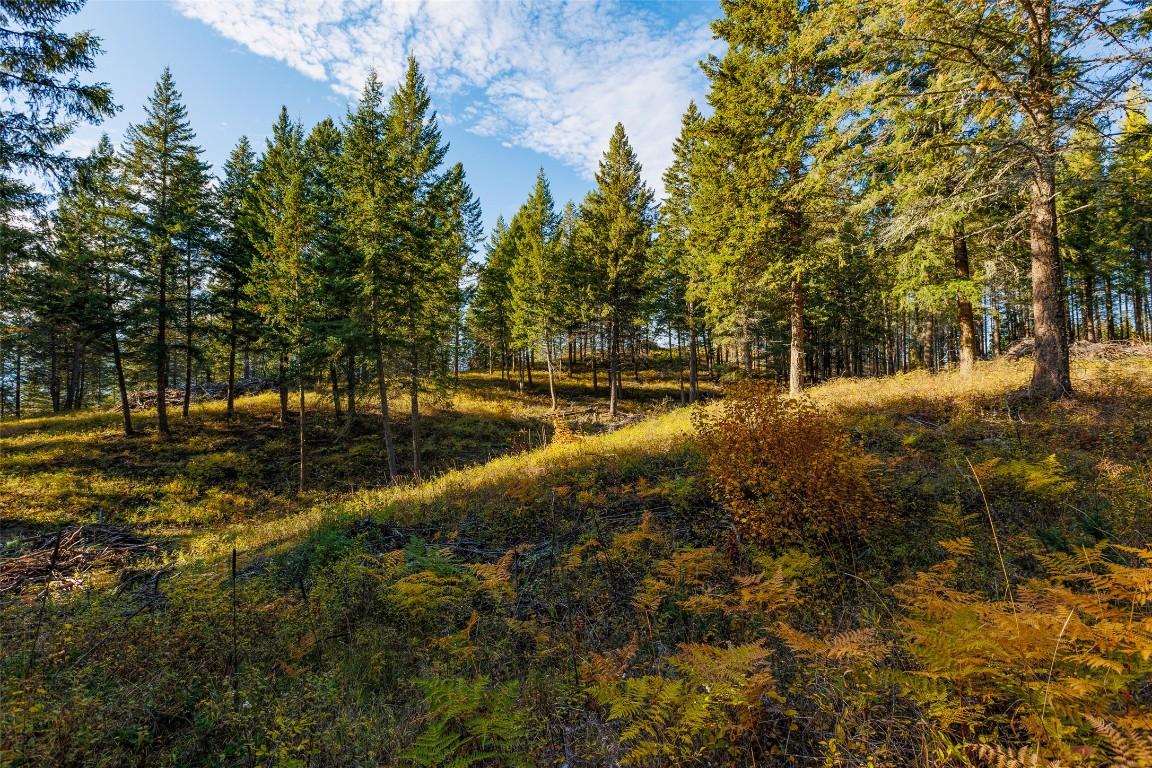 Lot 75 7Th Street, Creston, BC
