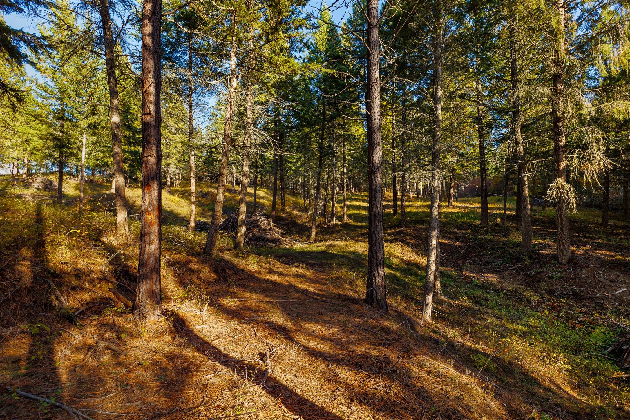 Lot 75 7Th Street, Creston, BC