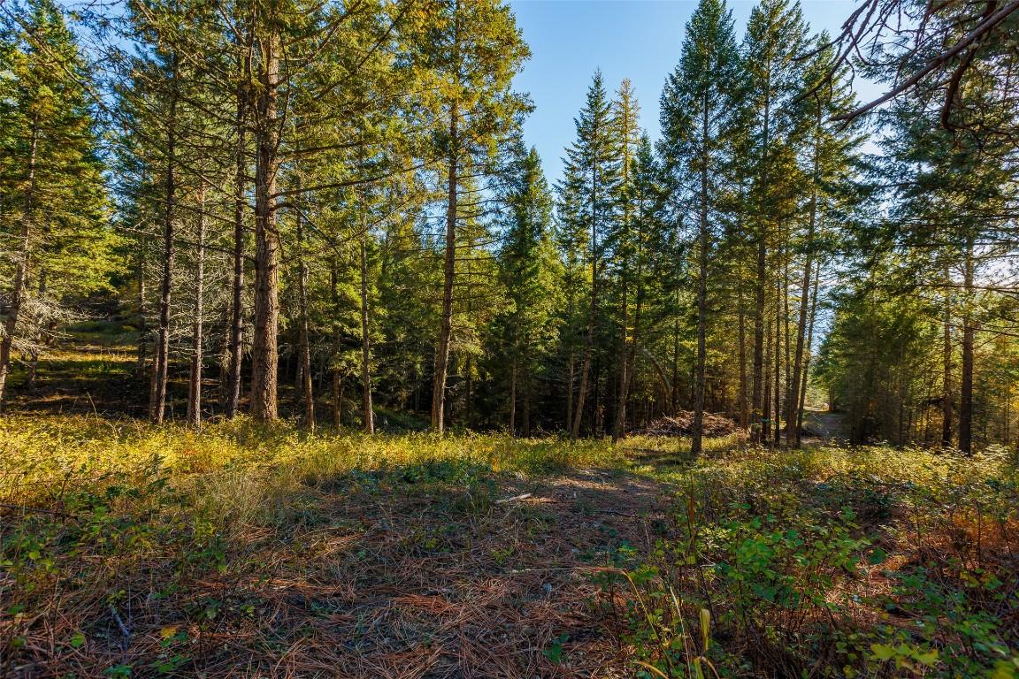 Lot 75 7Th Street, Creston, BC