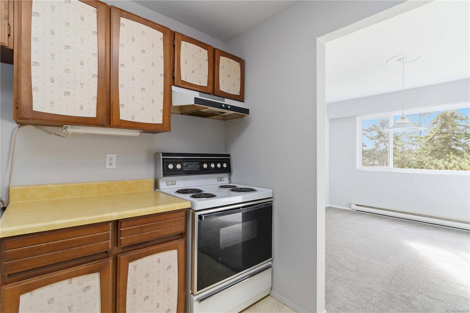 401-190 Gorge Rd West, Saanich, BC - Indoor Photo Showing Kitchen