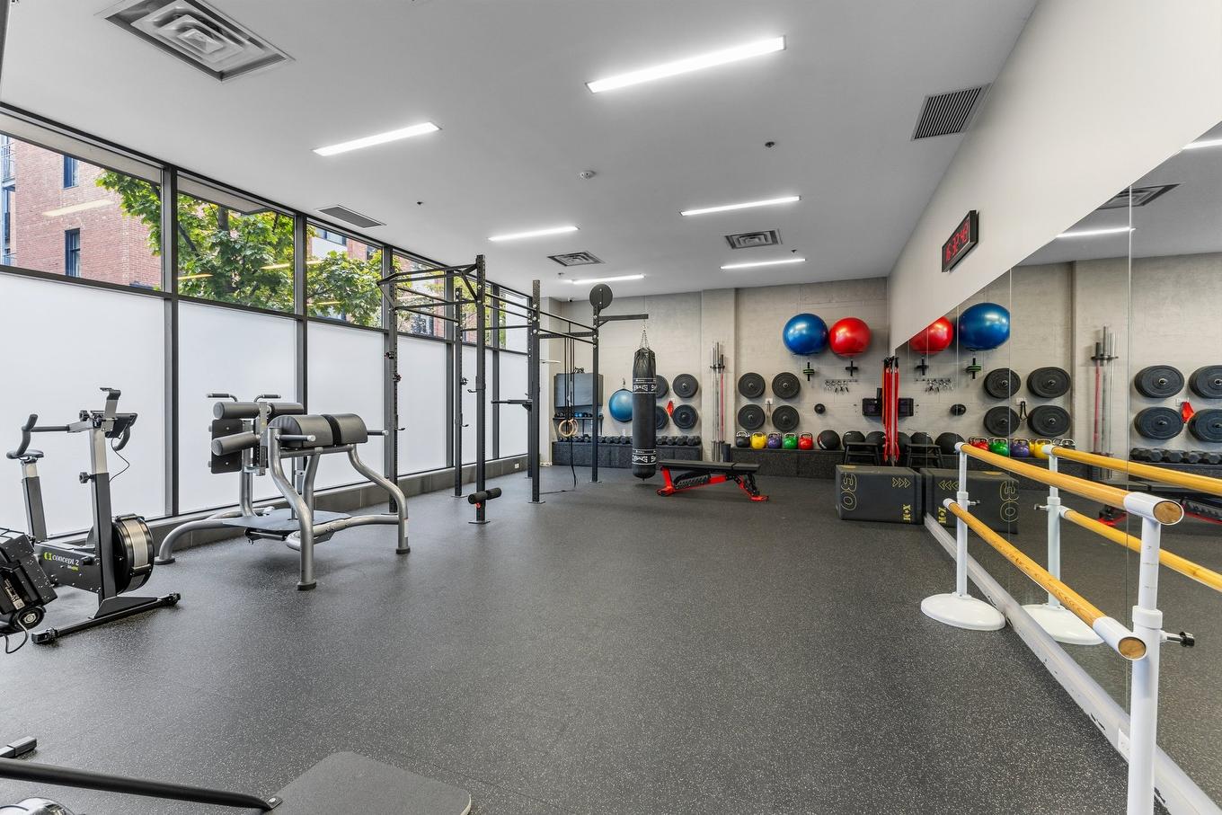 Salle d'exercice - 201-765 Rue Bourget, Montréal (Le Sud-Ouest), QC - Indoor Photo Showing Gym Room