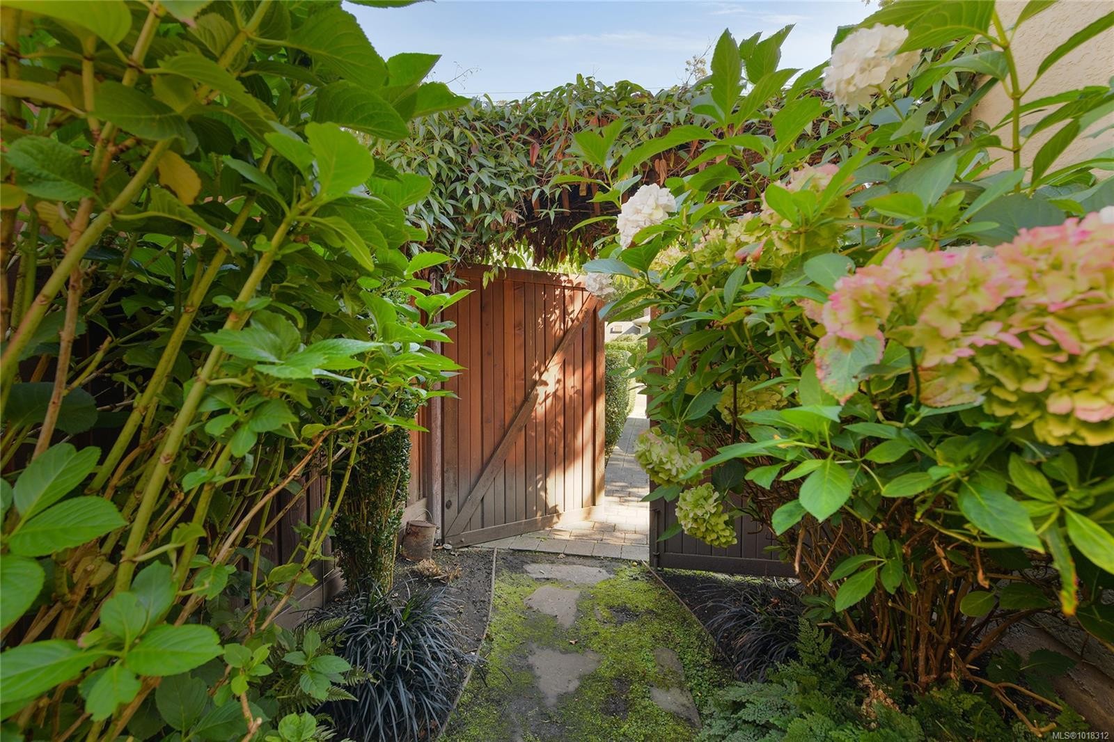 984 Brighton Cres, Victoria, BC