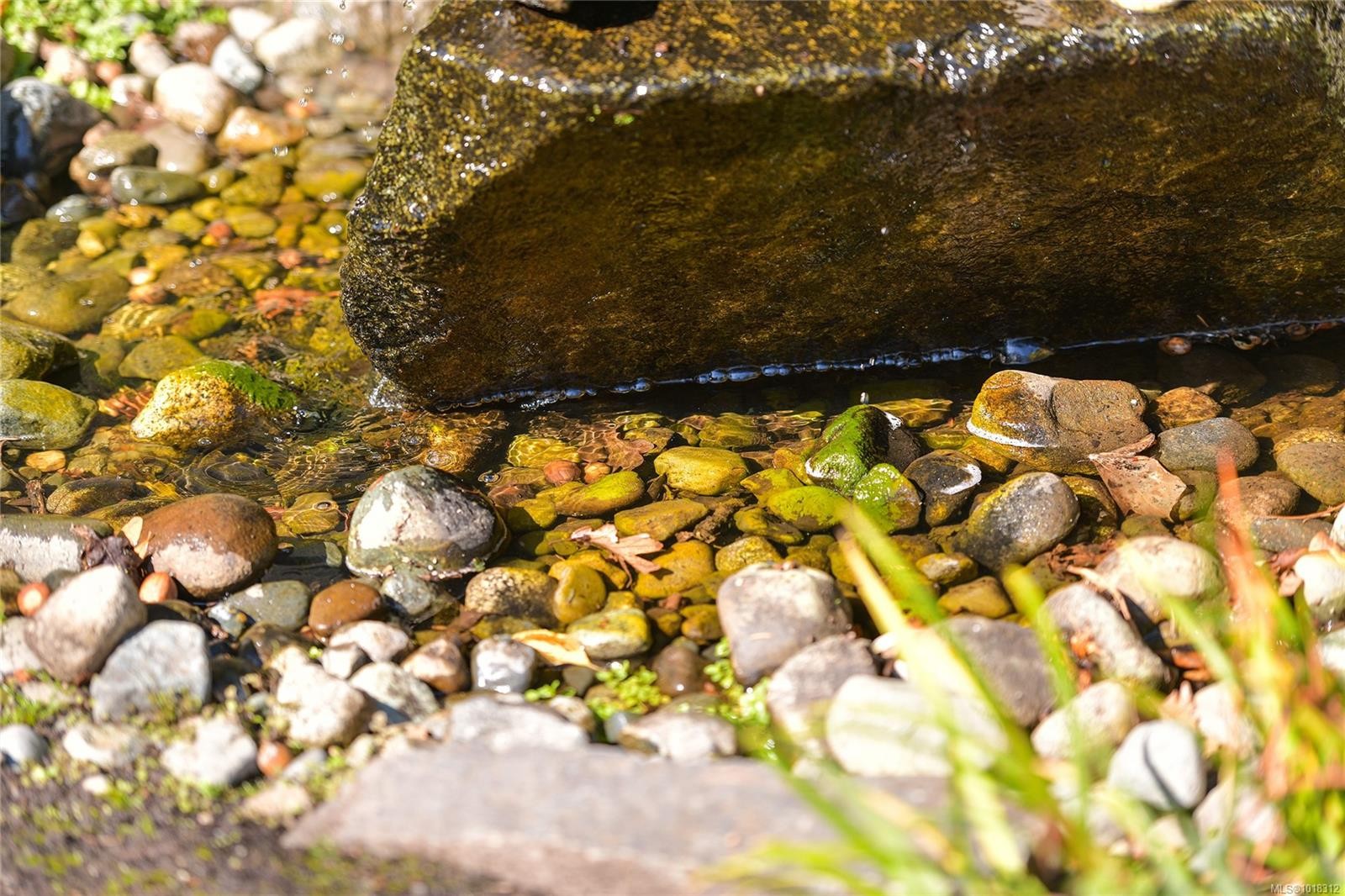 984 Brighton Cres, Victoria, BC