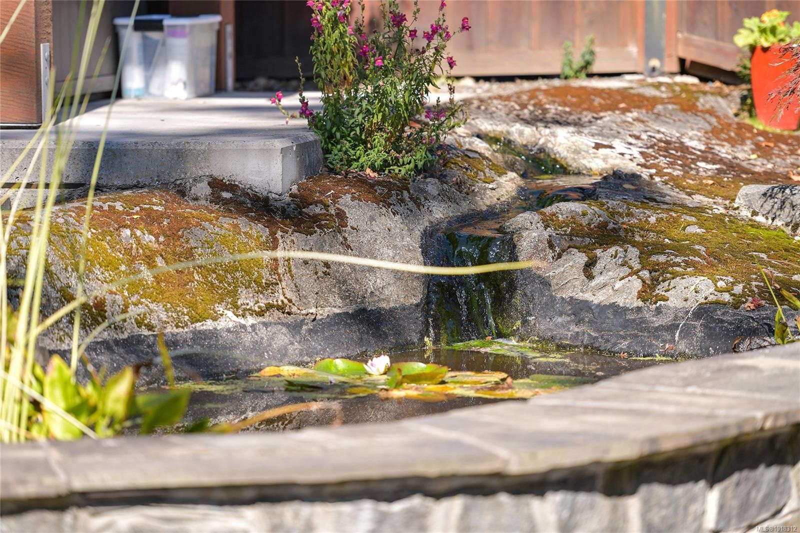 984 Brighton Cres, Victoria, BC