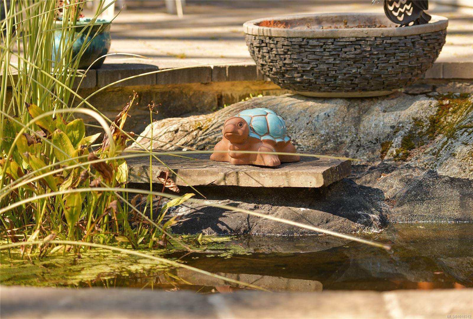 984 Brighton Cres, Victoria, BC