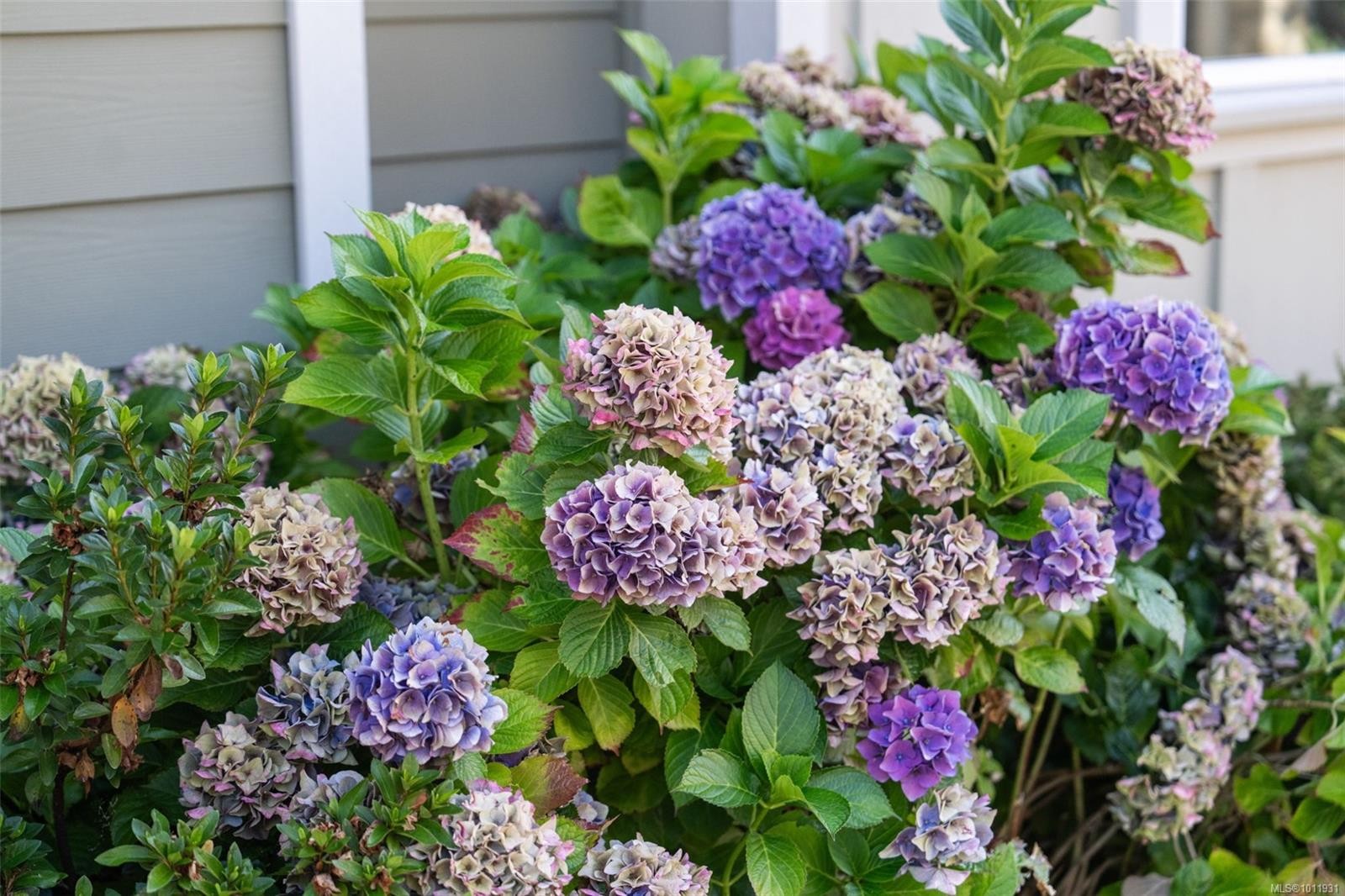 3-2449 Malaview Ave, Sidney, BC