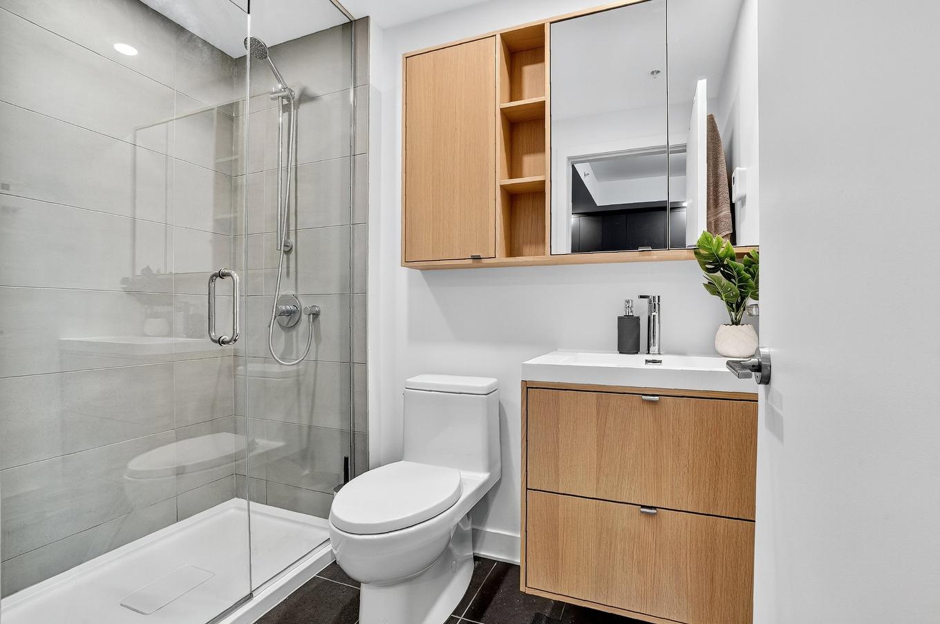 Bathroom - 1223-1 Boul. De Maisonneuve O., Montréal (Ville-Marie), QC - Indoor Photo Showing Bathroom