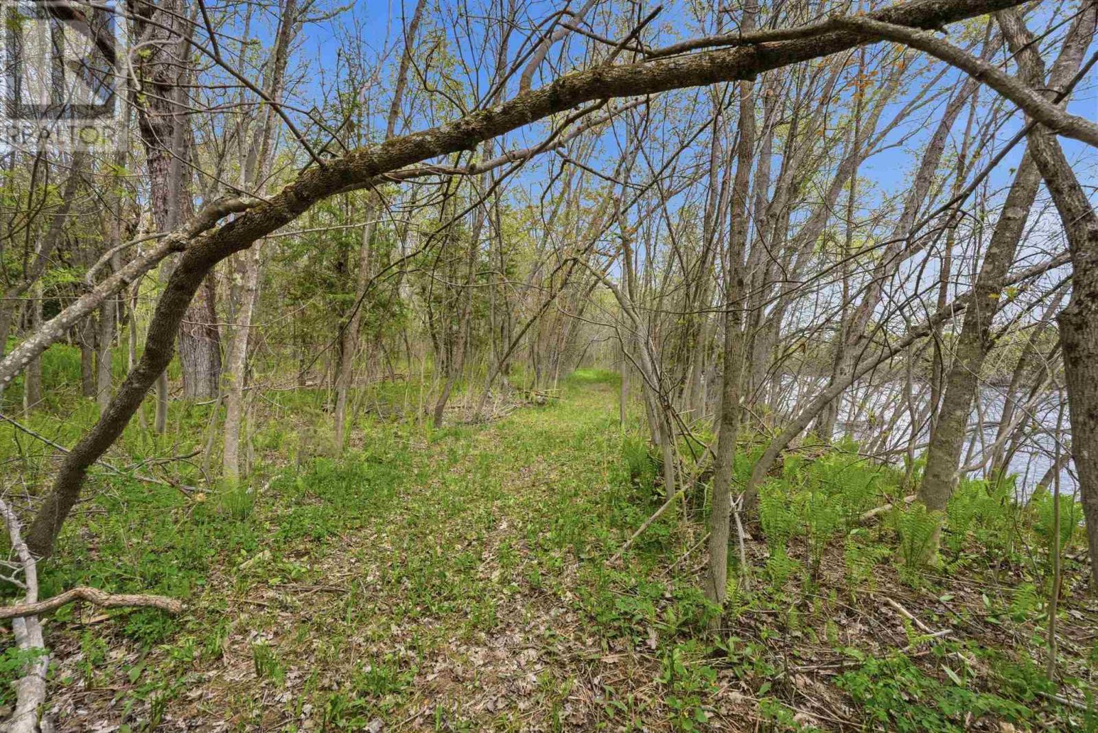 21 Eley Rd, Iron Bridge, ON - Outdoor With View