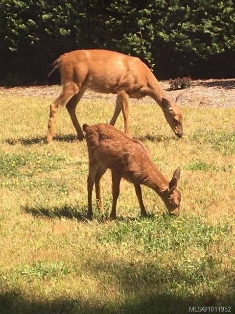 Lot 2 Marine Cres, Duncan, BC