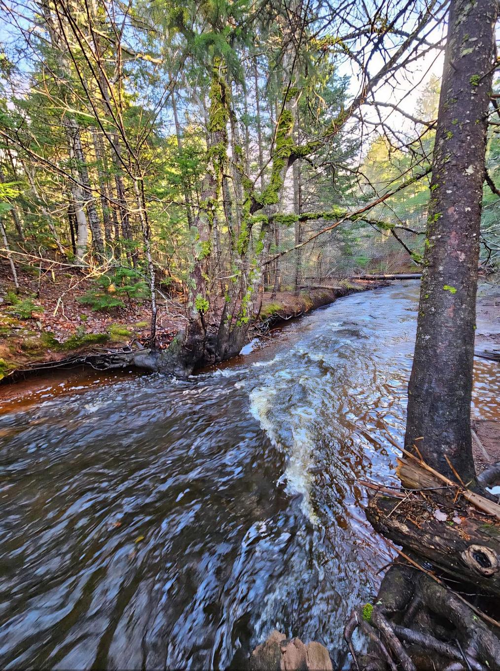 Lot 25-1 Highway #368, Wentworth, NS