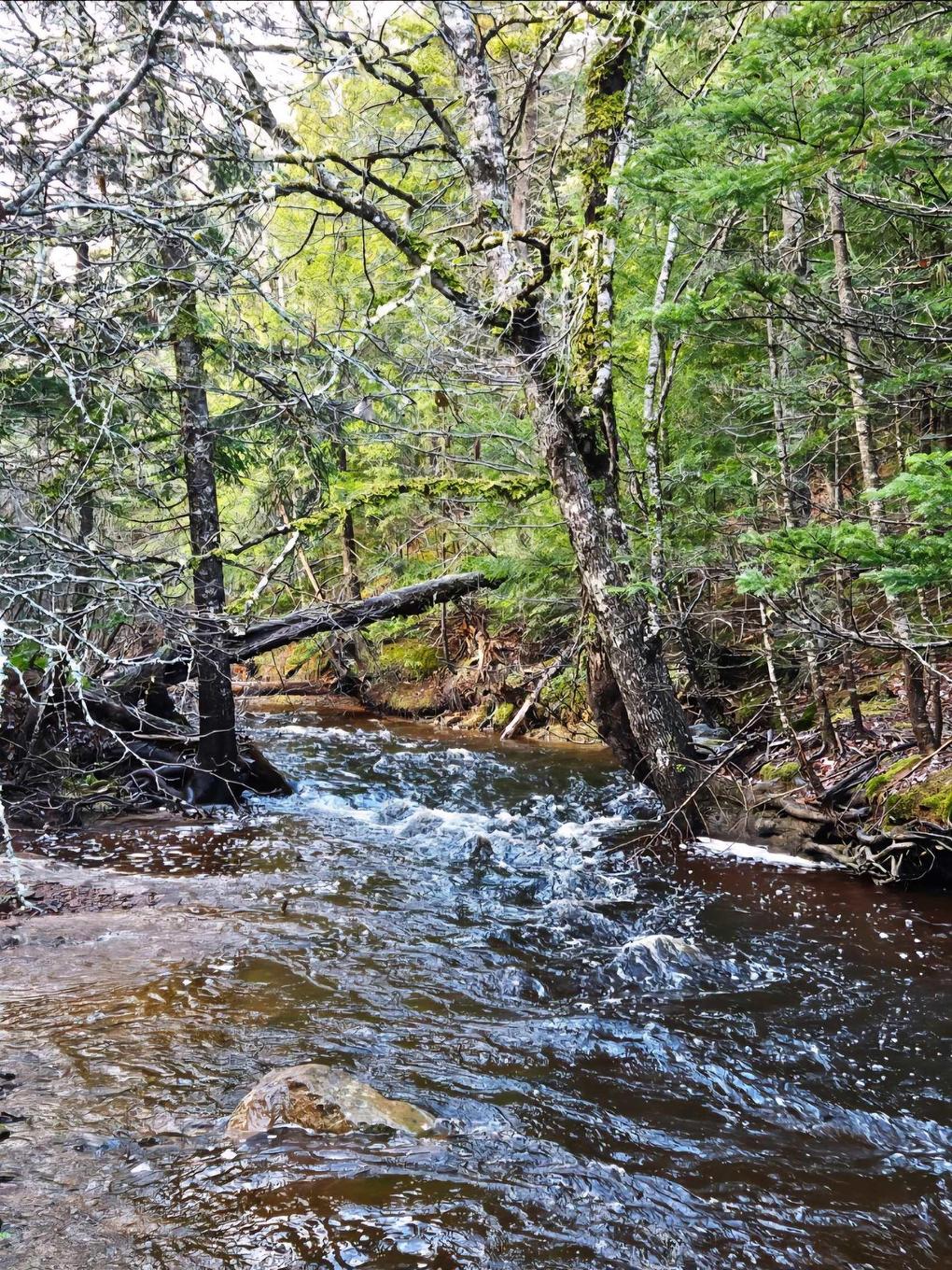 Lot 25-1 Highway #368, Wentworth, NS