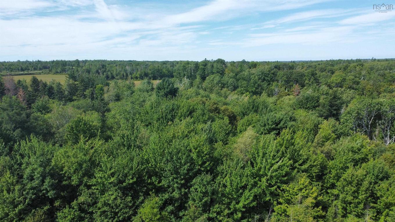 Lot 25-1 Highway #368, Wentworth, NS