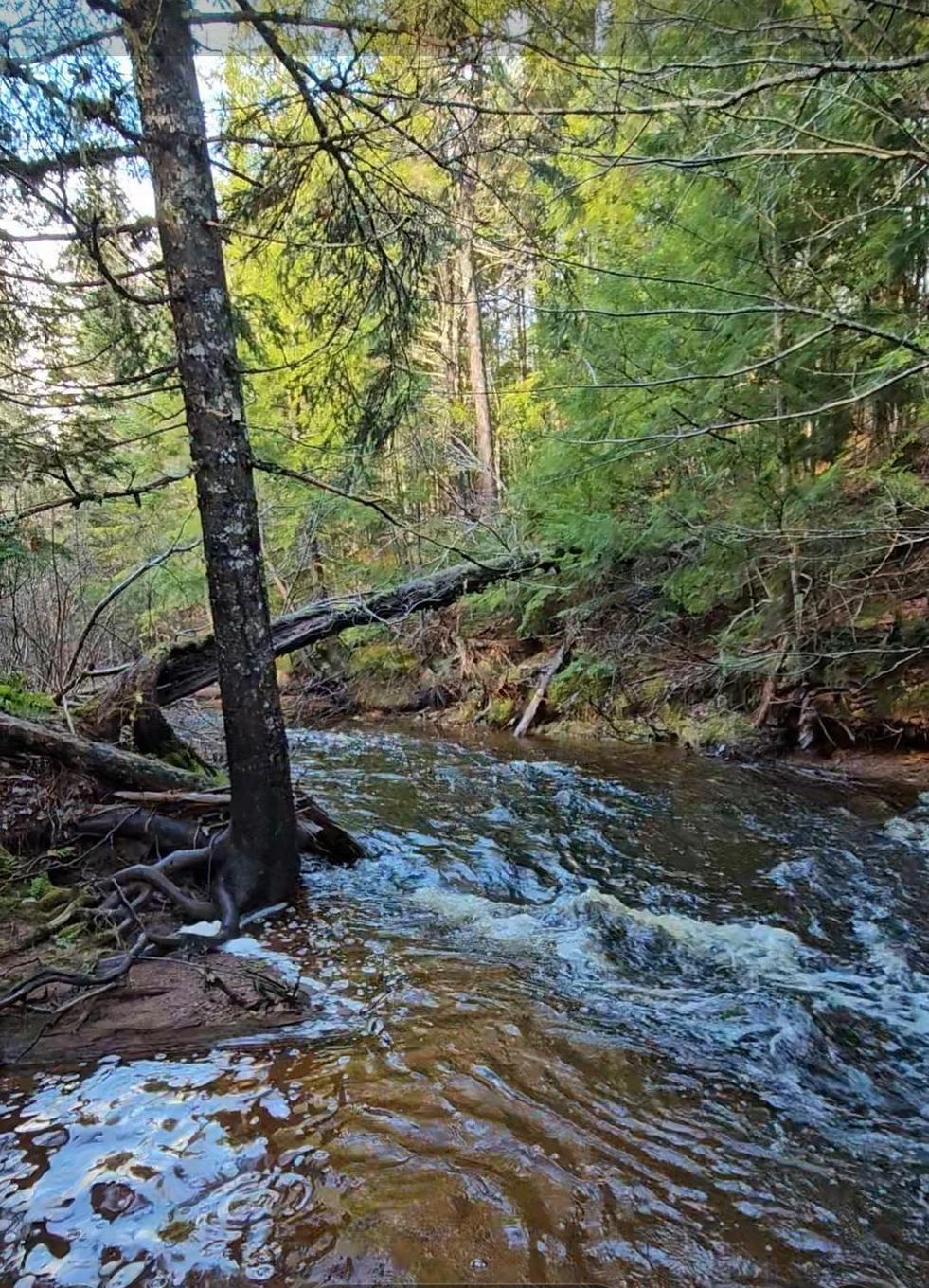 Lot 25-1 Highway #368, Wentworth, NS