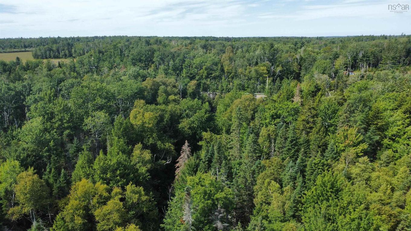 Lot 25-2 Highway #368, Wentworth, NS