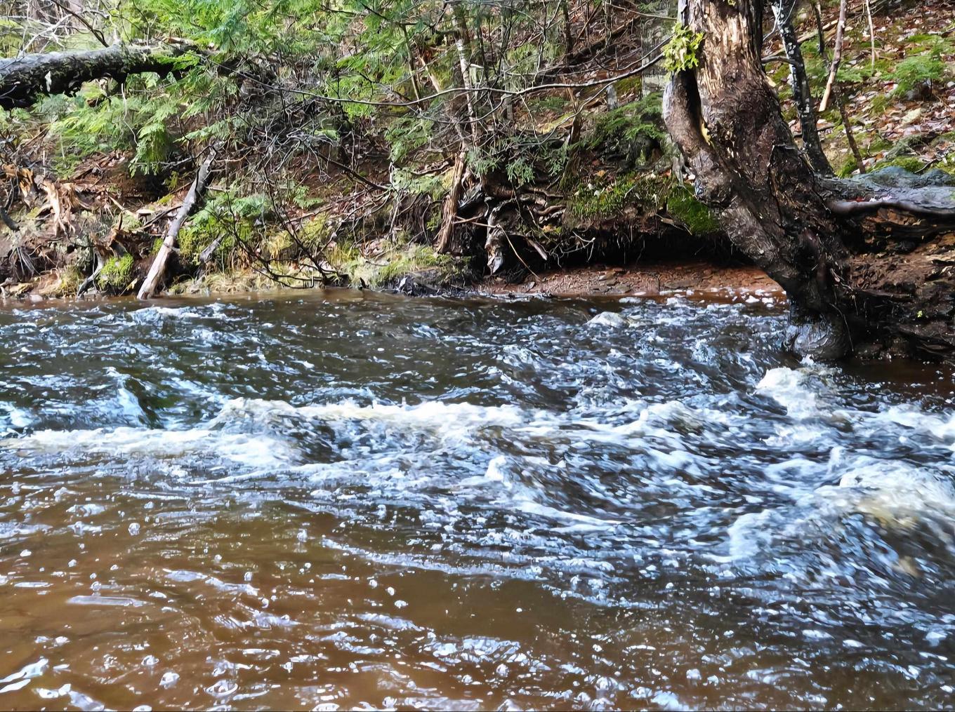 Lot 25-3 Highway #368, Wentworth, NS