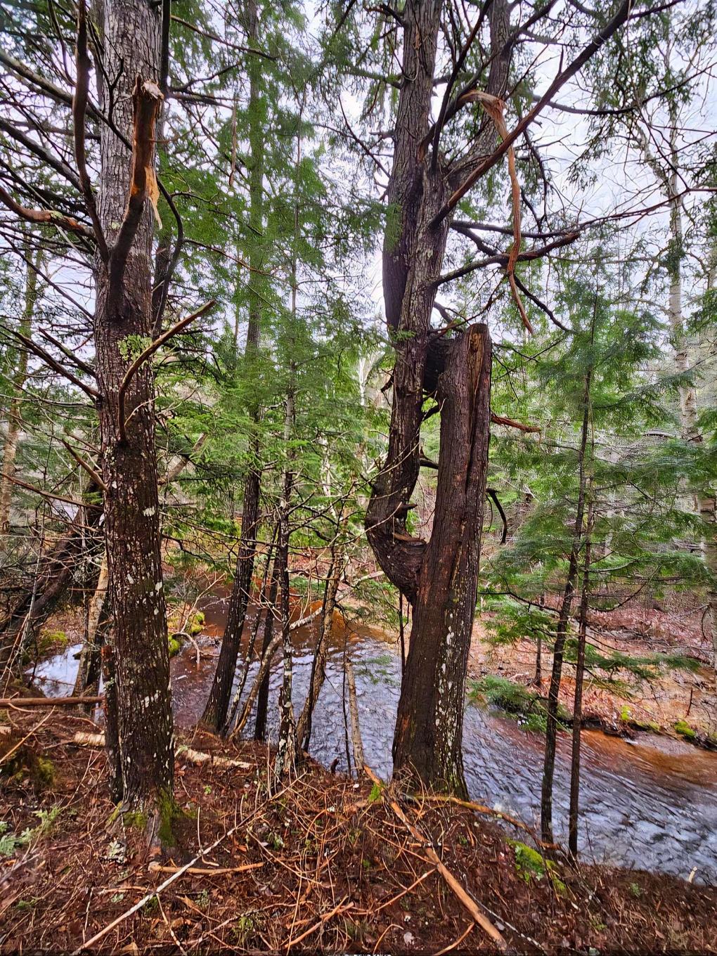 Lot 25-4 Highway #368, Wentworth, NS