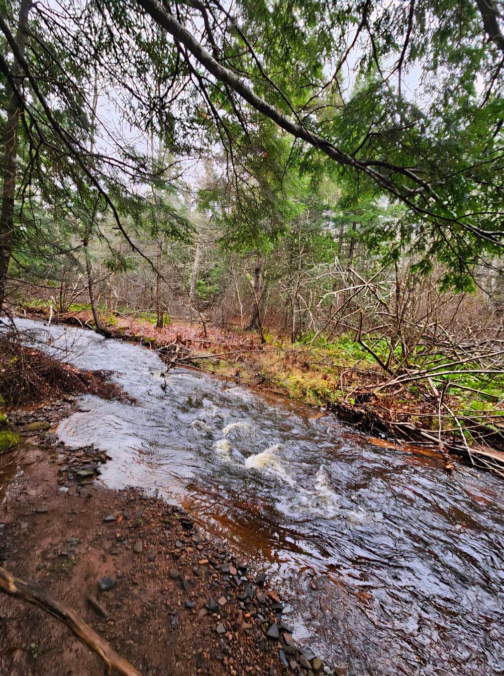 Lot 25-4 Highway #368, Wentworth, NS