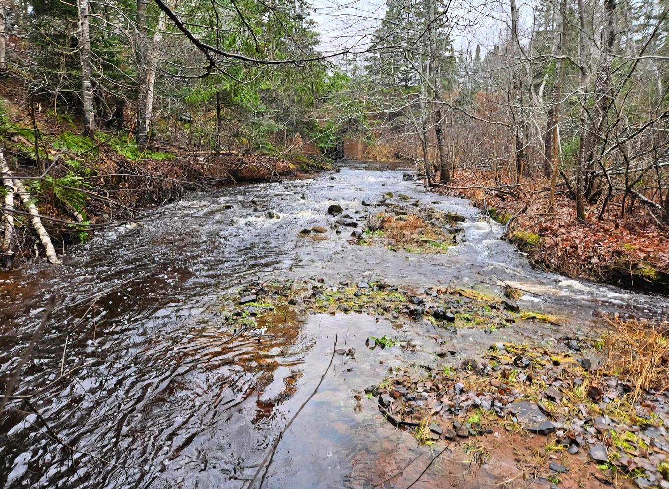 Lot 25-4 Highway #368, Wentworth, NS