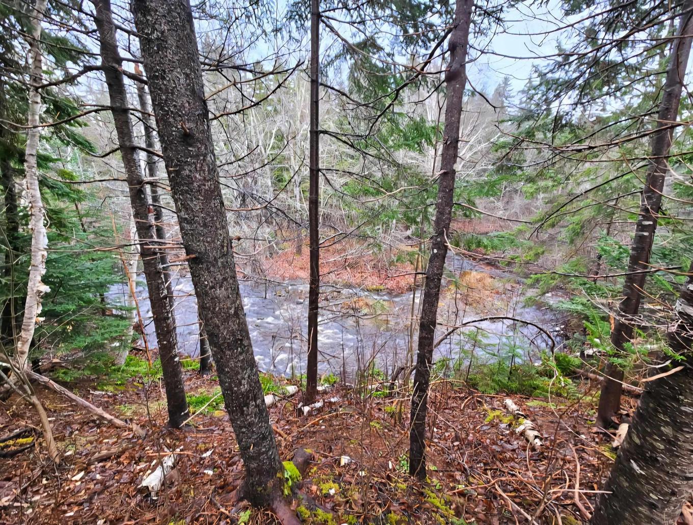 Lot 25-4 Highway #368, Wentworth, NS